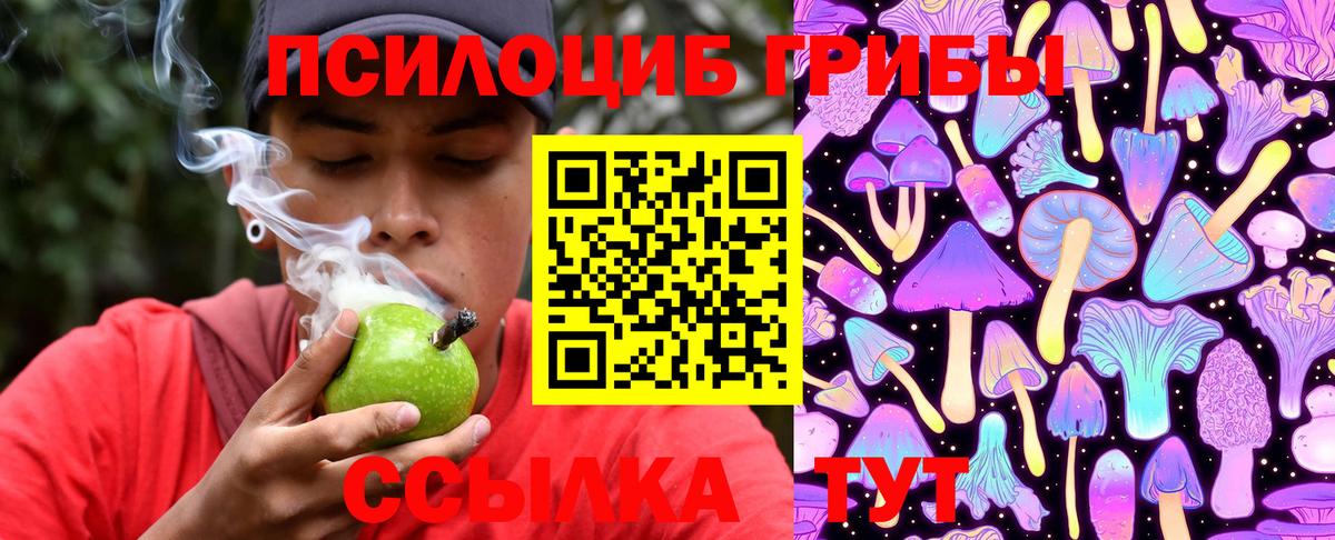 Галлюциногенные грибы мухоморы  Псилоцибиновые грибы Psilocybe  Чапаевск  как найти   Вход с VPN 